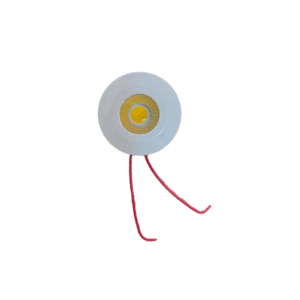 Sport Light
